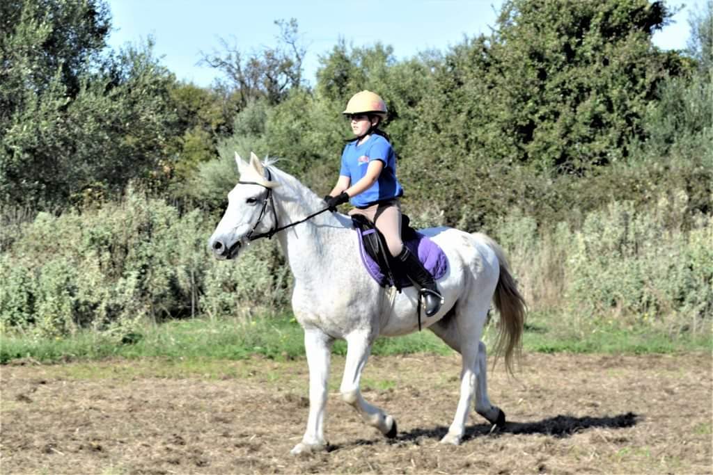 images/riding%20lessons/122117348_1689256337917946_8252901153462595706_n.jpg#joomlaImage://local-images/riding lessons/122117348_1689256337917946_8252901153462595706_n.jpg?width=1024&height=683
